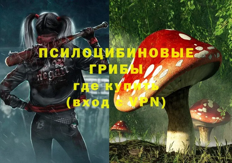 Псилоцибиновые грибы Psilocybine cubensis  цены   Армавир 